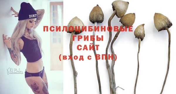 ГАЛЛЮЦИНОГЕННЫЕ ГРИБЫ Абинск