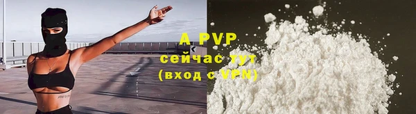 спиды Абаза