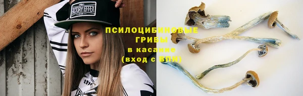 спайс Абдулино
