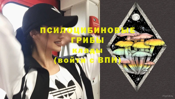 ГАЛЛЮЦИНОГЕННЫЕ ГРИБЫ Абинск