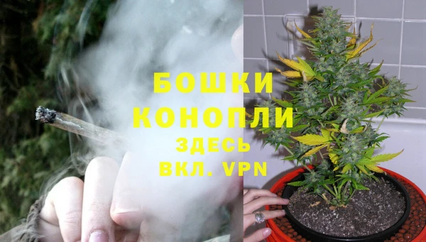 спиды Пестово