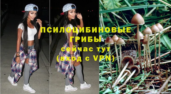 ГАЛЛЮЦИНОГЕННЫЕ ГРИБЫ Абинск