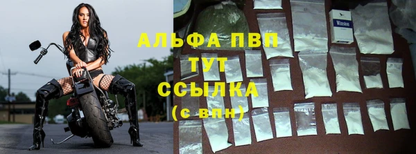 спиды Абаза